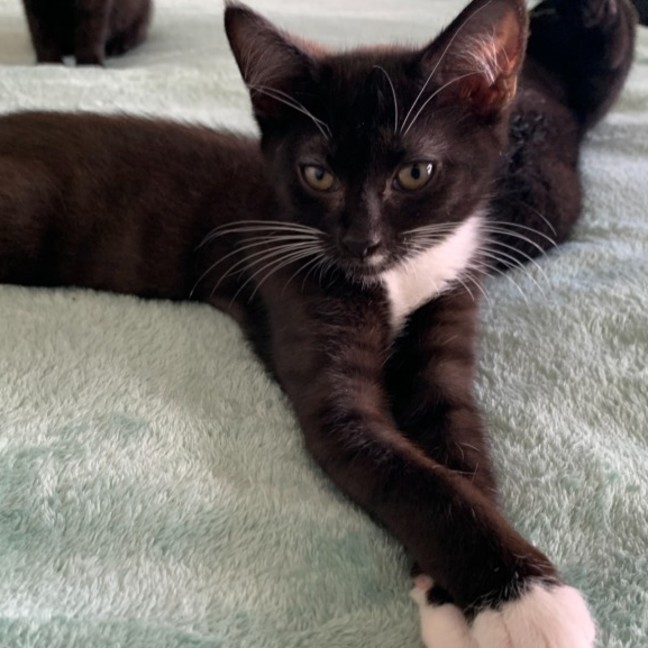 Photo of Zuko