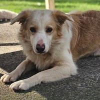 Photo of Jasper