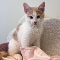 Photo of Evan & Evie