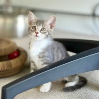 Photo of Kat