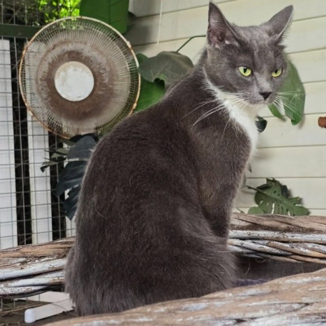 Photo of Holly