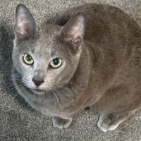 Photo of Nikolai 😻🧵🧶