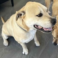 Photo of Cognac And Teddy