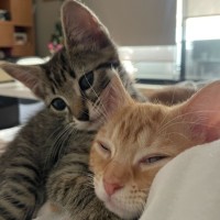 Photo of Poppie & Ralphie