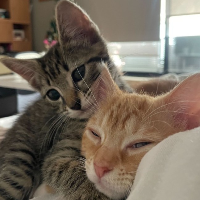 Photo of Poppie & Ralphie