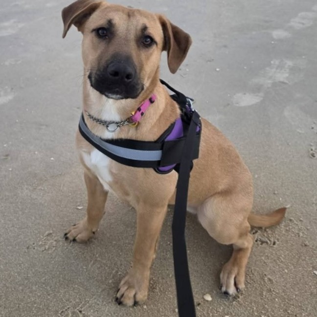 Photo of Chloe