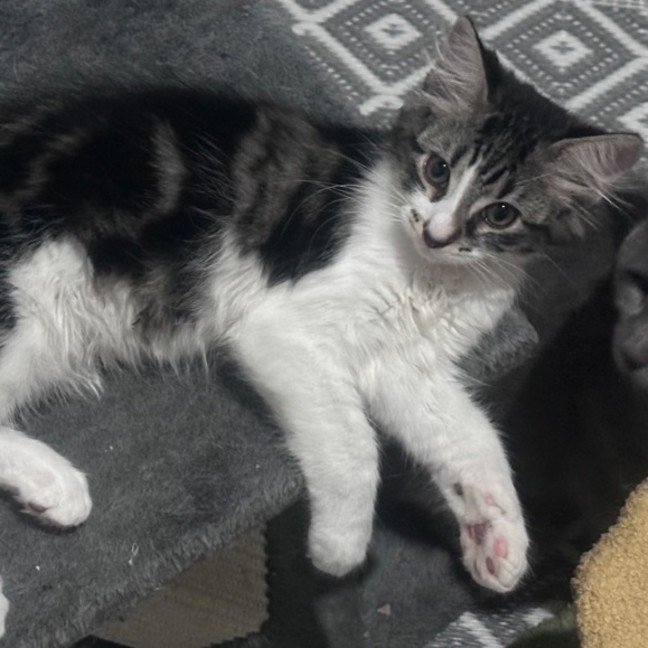 Photo of Zach ❤️😎