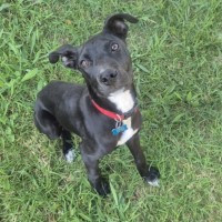 Photo of Cosmo 
