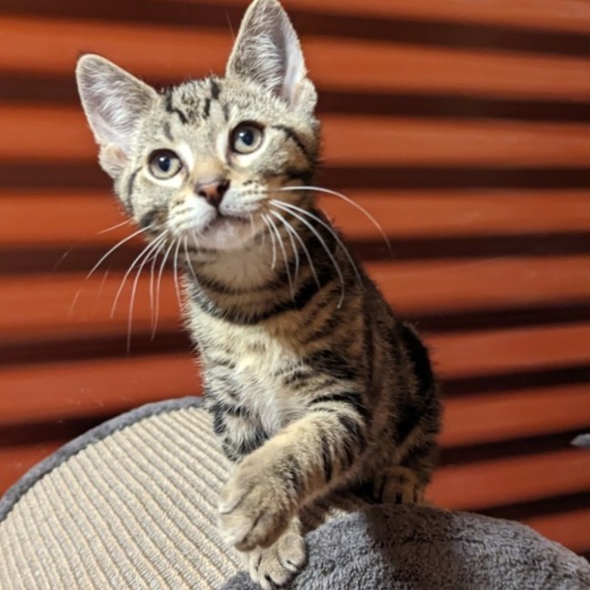 Photo of Aggy