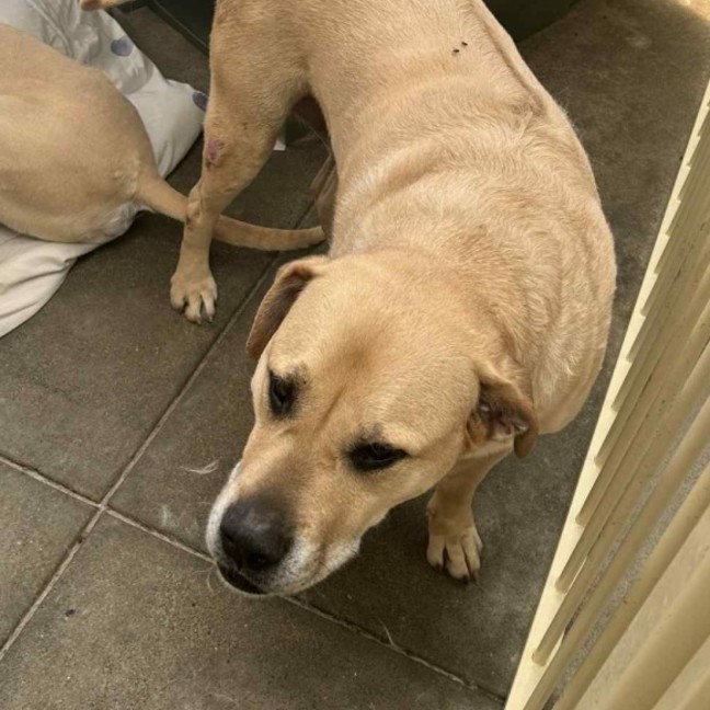 Photo of Cognac And Teddy