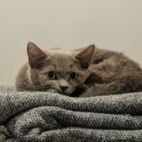 Photo of Katseye