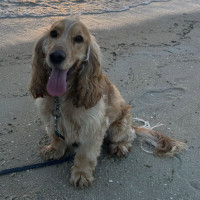 Photo of 💙 Ralph 💙