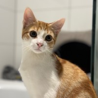 Photo of 🧡Reito🧡