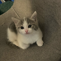 Photo of Kiara 🌺🌺🌺