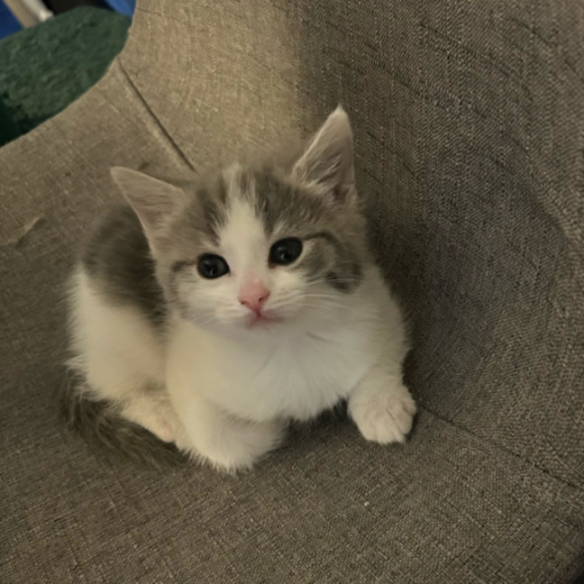 Photo of Kiara 🌺🌺🌺