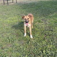Photo of Sam