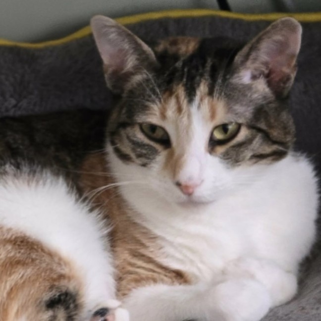 Photo of Missy