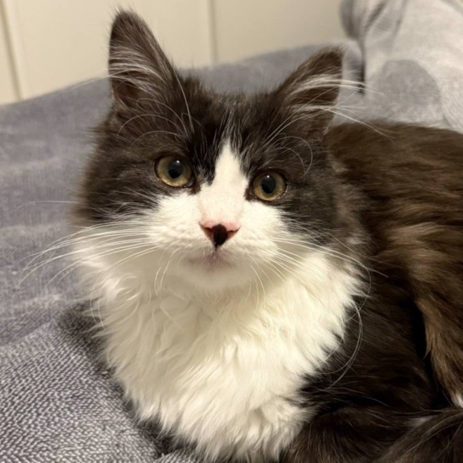 Photo of Milly 🌷🌷