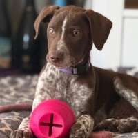 Photo of Buddy