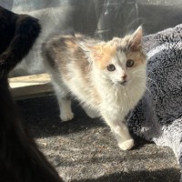 Photo of Tina