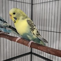 Photo of Ocean & Bebe