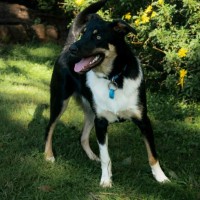 Photo of Steve
