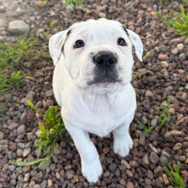 Photo of Tilly
