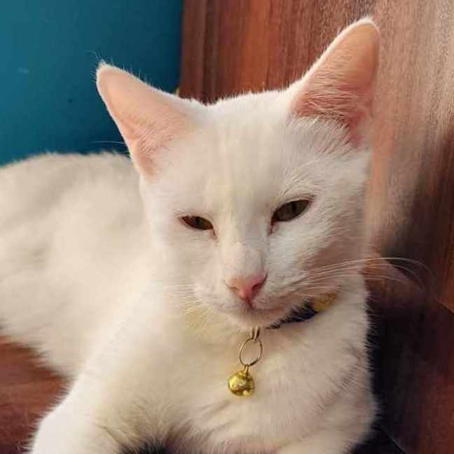 Photo of Alice
