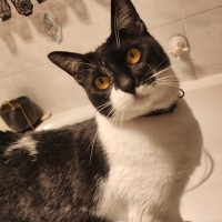 Photo of Tippy