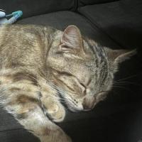 Photo of Angel