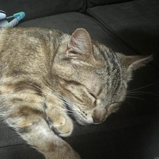 Photo of Angel