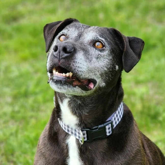 Photo of 🐻 Buster 6375 🐻