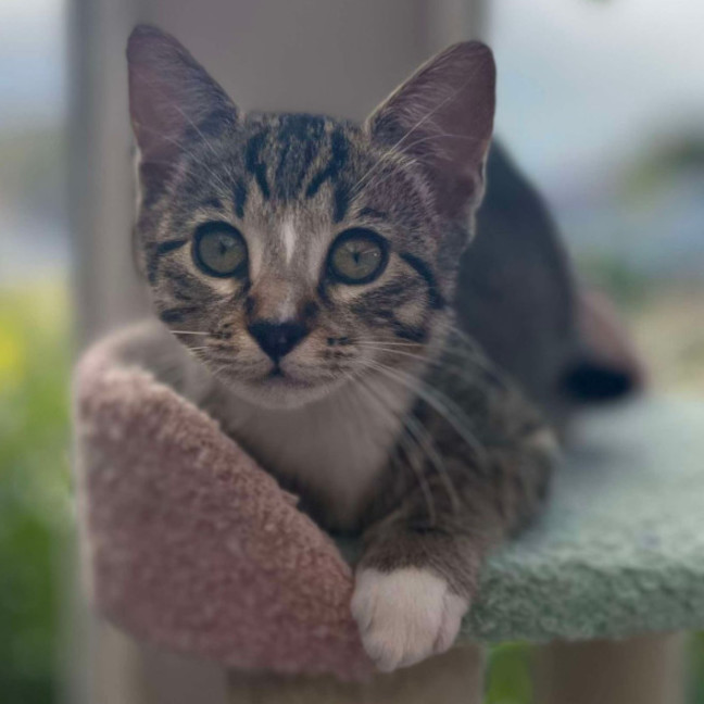 Photo of ❤️ Marlee ❤️