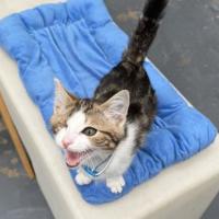 Photo of Cap N' Jack