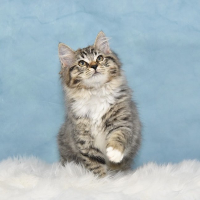Photo of Collette