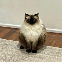 Photo of Sailor