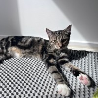 Photo of Hades