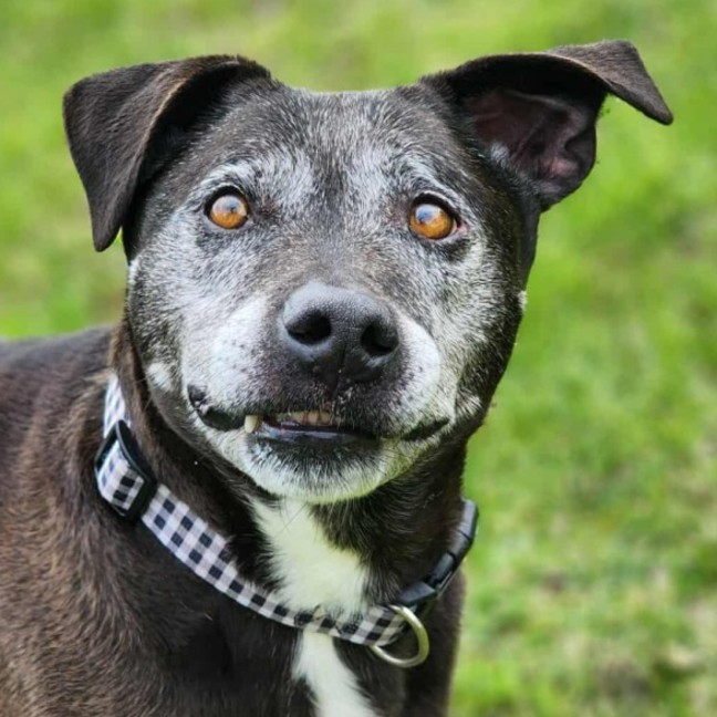 Photo of 🐻 Buster 6375 🐻