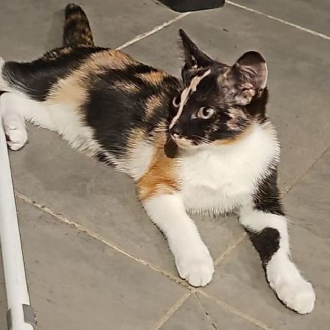 Photo of Chispita