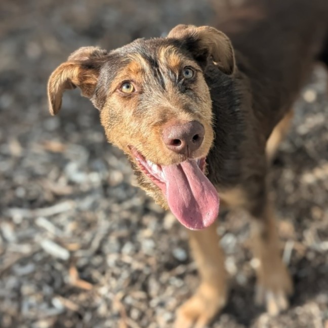 Photo of 🌳 Trevor 5939 🌳