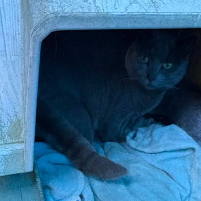 Photo of Maggie