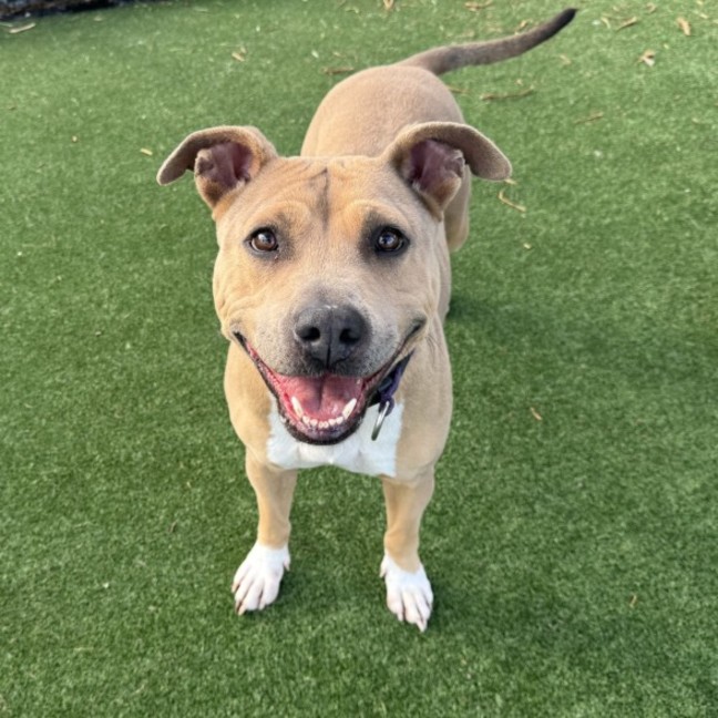 Photo of Karma Imp 1198