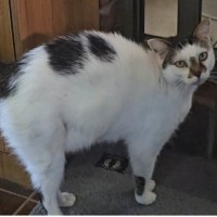 Photo of Smidge