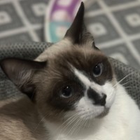 Photo of Sam 💙😻