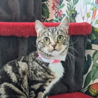 Photo of Taylor   Located In Preston