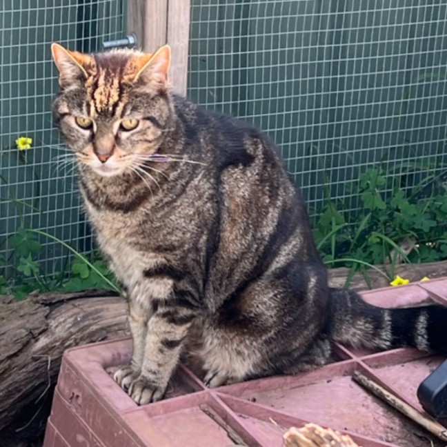 Photo of Jagger   Can Transport To You 