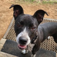 Photo of Maggie