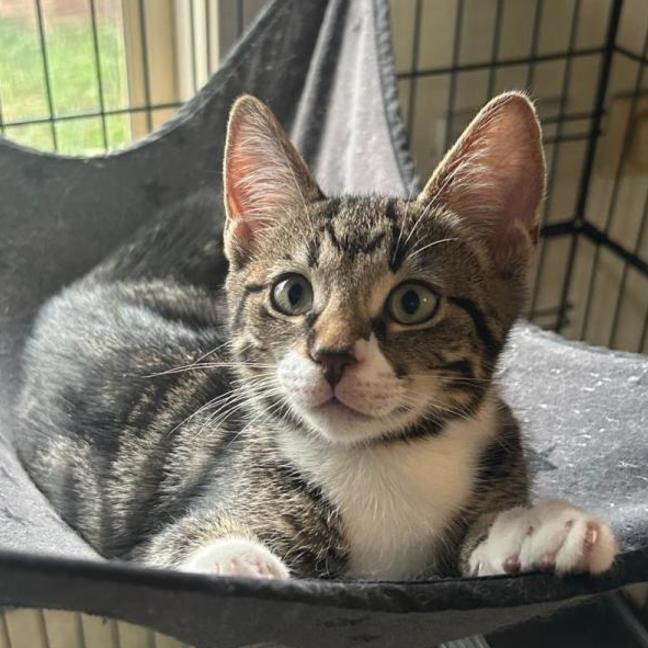 Photo of Charlie