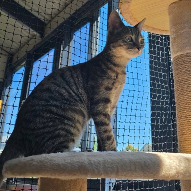 Photo of Hazel