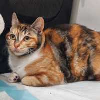 Photo of Buttons & Charlie